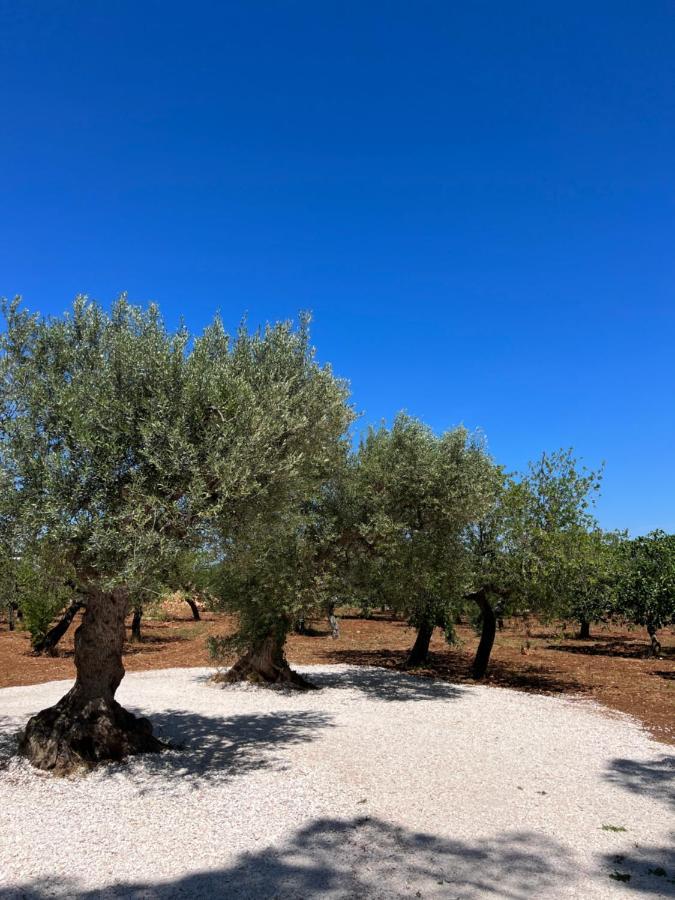 卡斯特拉纳格罗泰Masseria Concorrano公寓 外观 照片