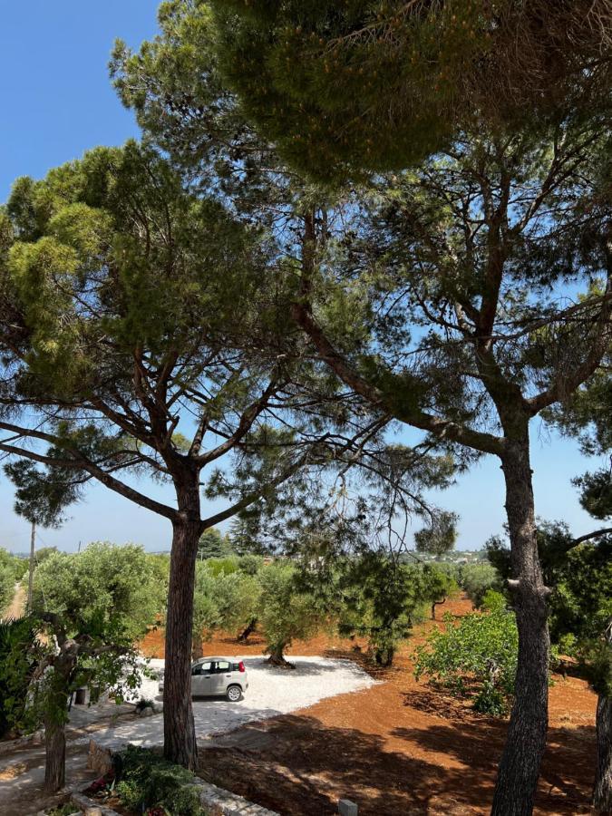 卡斯特拉纳格罗泰Masseria Concorrano公寓 外观 照片